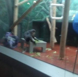 Meet your Posher, Barbara